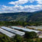 GRANJA 85x85